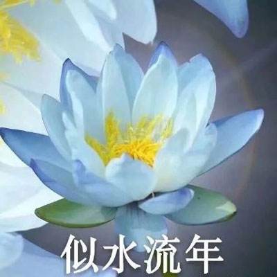 魂武边缘迷阵破解版下载